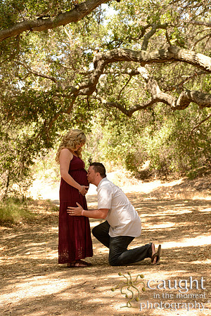21 Maternity Portraits