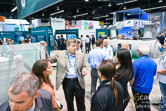366 IEEE PES TandD Anaheim 2024