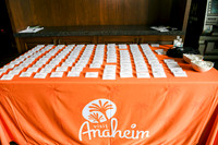 002 Anaheim Destination Forecast 2021