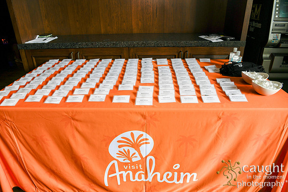 002 Anaheim Destination Forecast 2021