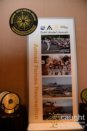 293 NRPA 2015 Gold Medal Reception