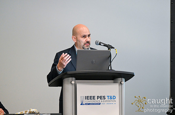 971 IEEE PES TandD Anaheim 2024