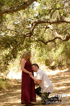 27 Maternity Portraits