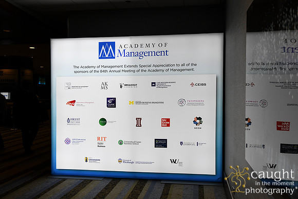 087 AOM 2024 Registration & Networking Hubs