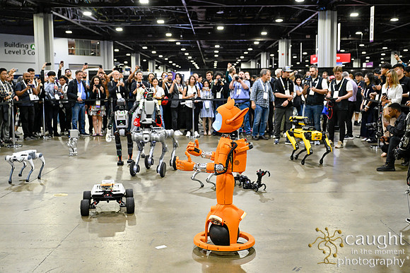 1408 IEEE ICRA 2025 Atlanta