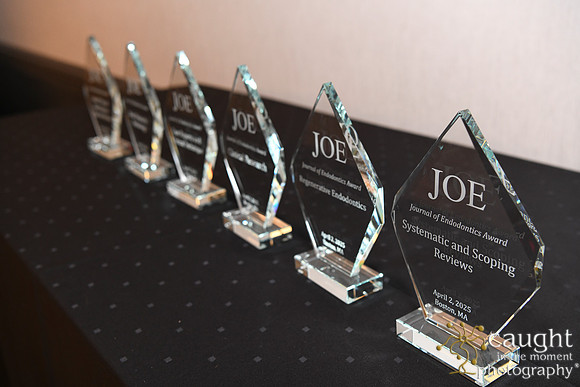 881 AAE 2025 in Boston - JOE Awards
