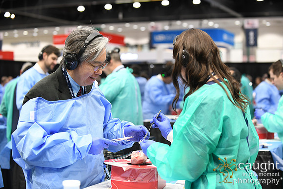 906 STS2025-Hands-On Courses