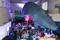 Great Hall of the Pacific