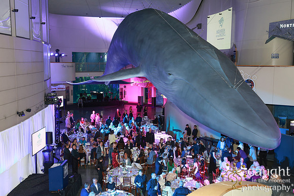 141 Aquarium of the Pacific Blue Whale Gala and After Party 2025