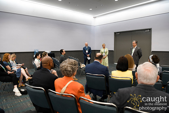 1044 AAE 2024 in Los Angeles - District Caucuses