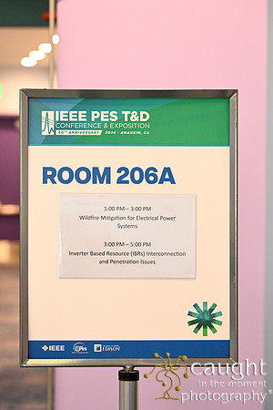 969 IEEE PES TandD Anaheim 2024