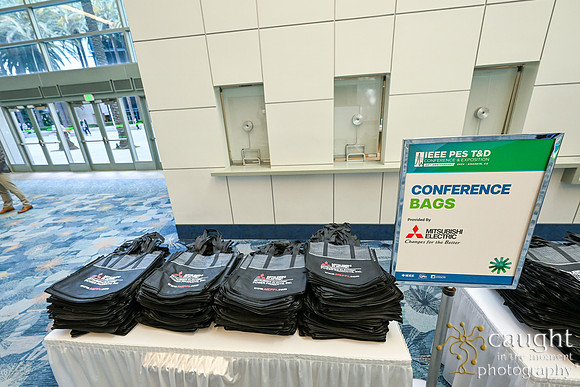 019 IEEE PES TandD Anaheim 2024