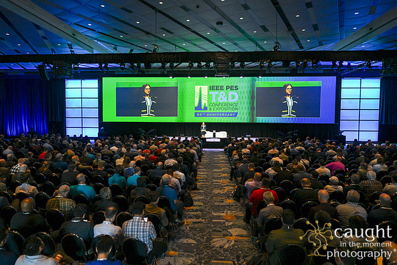 274 IEEE PES TandD Anaheim 2024