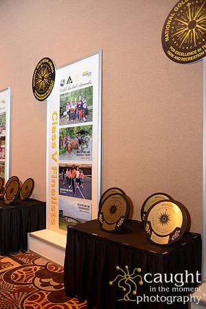 288 NRPA 2015 Gold Medal Reception
