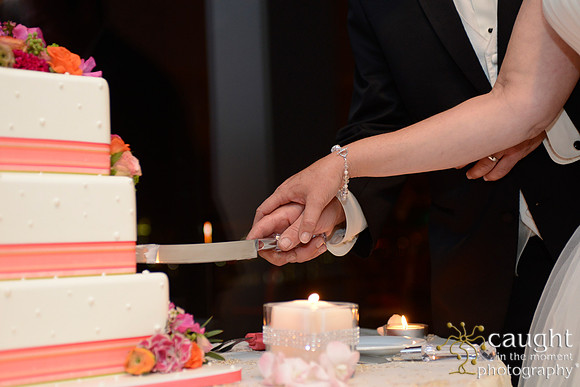 727 Wendling Wedding at Hotel Maya