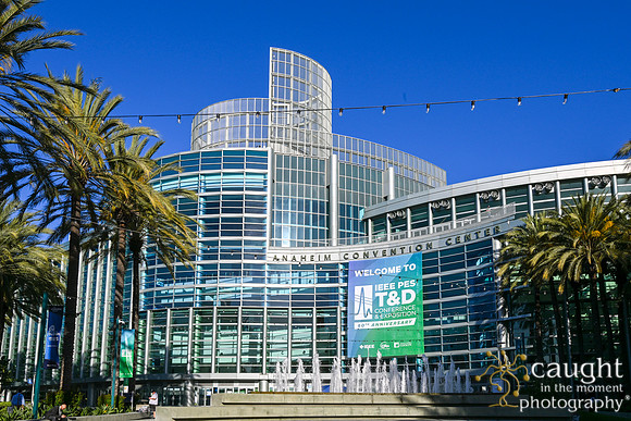 002 IEEE PES TandD Anaheim 2024