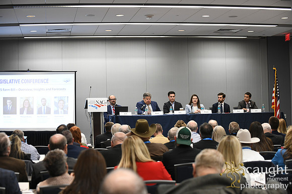 326 NACo 2025 Leg-Saturday-Agricultural and Rural Affairs