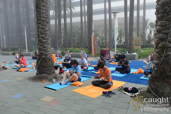 1299 OMED 2016-Yoga