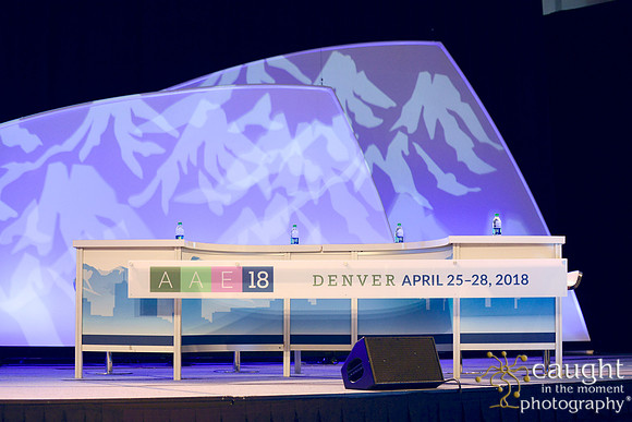 441 AAE 2018 in Denver-Canal Cleaning
