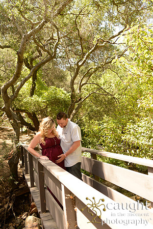 53 Maternity Portraits
