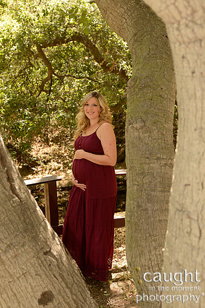 15 Maternity Portraits