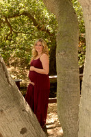 17 Maternity Portraits