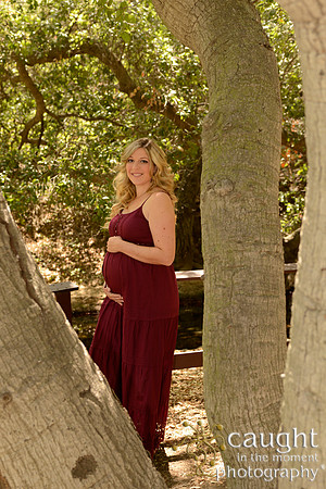 17 Maternity Portraits