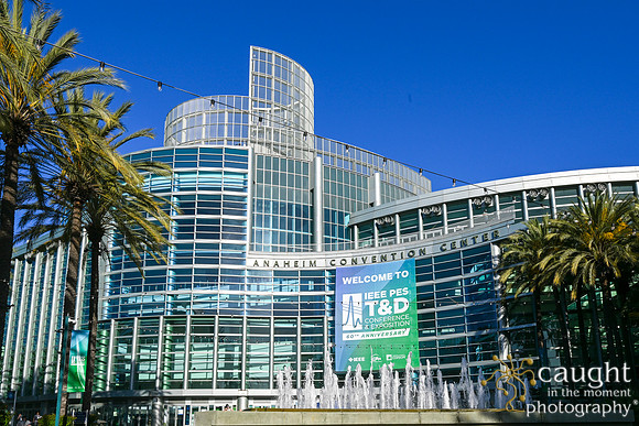006 IEEE PES TandD Anaheim 2024