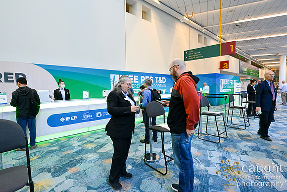051 IEEE PES TandD Anaheim 2024
