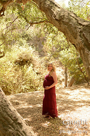 33 Maternity Portraits