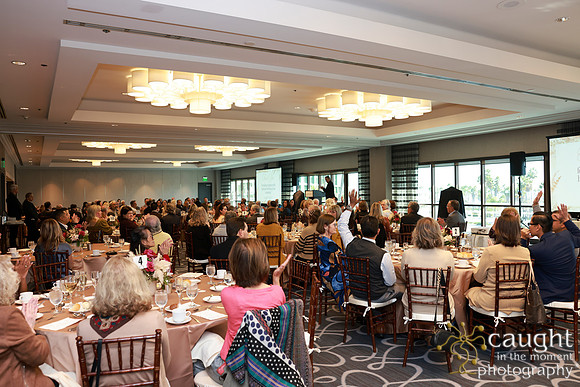 124 Memorial Medical Center Foundation Appreciation Luncheon 2024