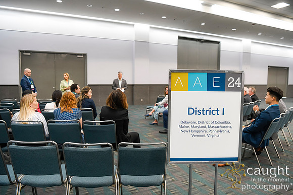 1042 AAE 2024 in Los Angeles - District Caucuses