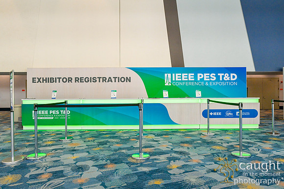 044 IEEE PES TandD Anaheim 2024