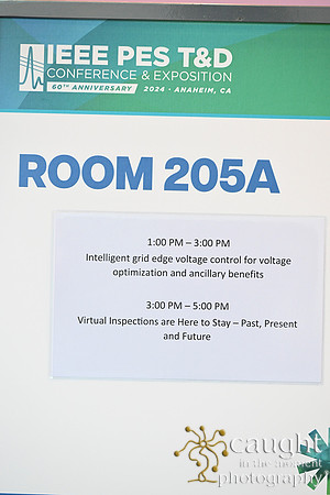 1328 IEEE PES TandD Anaheim 2024