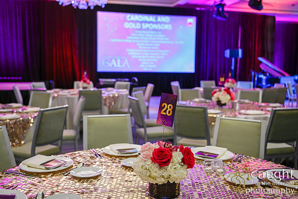 026 Foundation Gala 2022