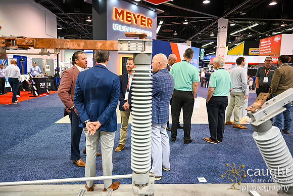 379 IEEE PES TandD Anaheim 2024