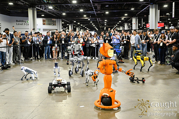 1409 IEEE ICRA 2025 Atlanta