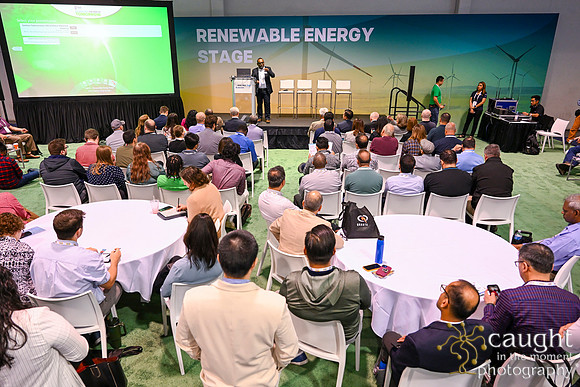 604 IEEE PES TandD Anaheim 2024