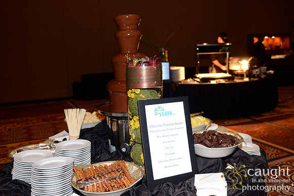 264 NRPA 2015 Gold Medal Reception