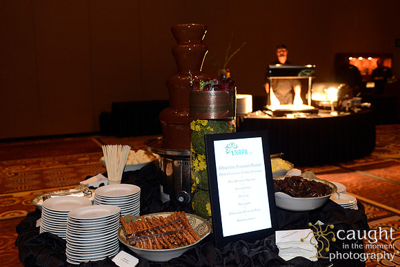 265 NRPA 2015 Gold Medal Reception