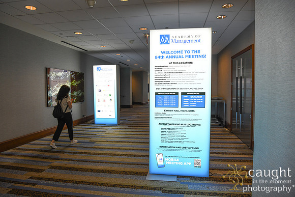 010 AOM 2024 Registration & Networking Hubs