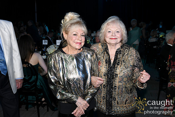 284 Imagine Gala 2024