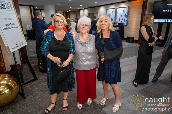 231 Imagine Gala 2024