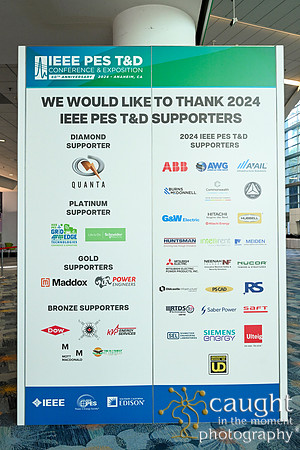 021 IEEE PES TandD Anaheim 2024