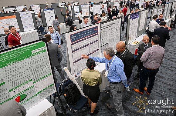 1439 IEEE PES TandD Anaheim 2024