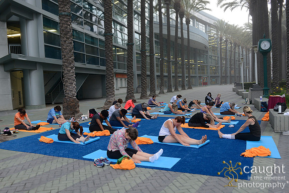1295 OMED 2016-Yoga