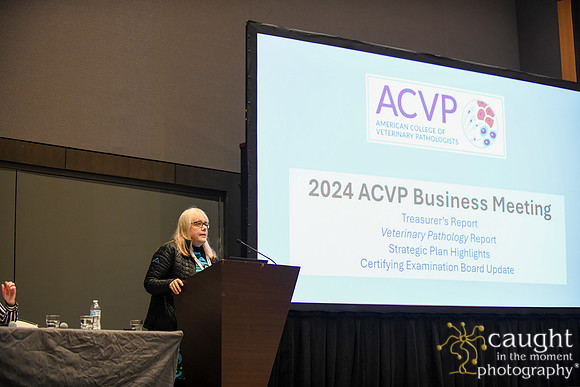 449 ACVP 2024 in Seattle