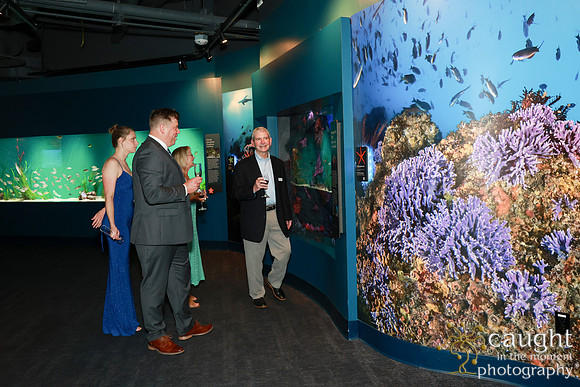 131 Aquarium of the Pacific Blue Whale Gala and After Party 2025