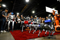1382 IEEE ICRA 2025 Atlanta