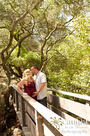 52 Maternity Portraits